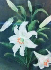 思い出の花