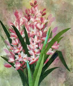 想いを込めて（シンピジューム）