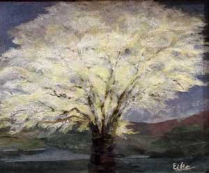 月光桜
