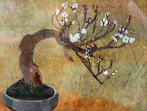 盆梅