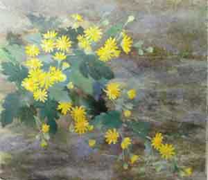 野菊