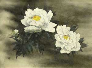 富貴花