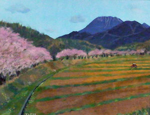 藤古川堤防の桜