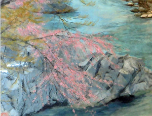 岩場の桜