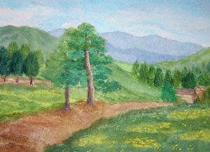 里山