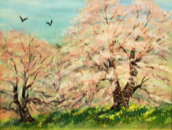 桜