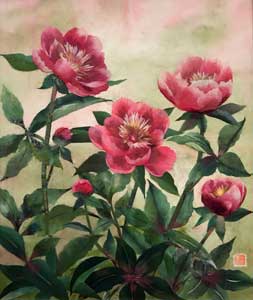 芍薬