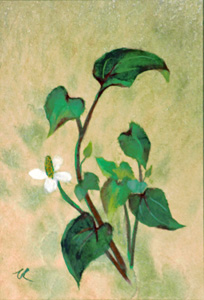 路傍の花