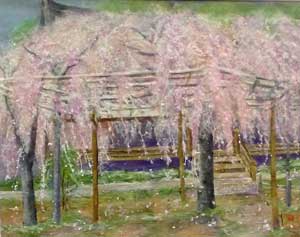 桜（毘沙門堂）