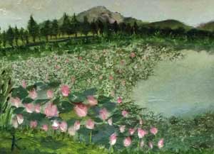 蓮の花の咲く池