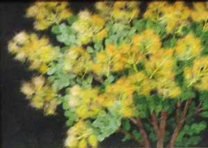 けむり草