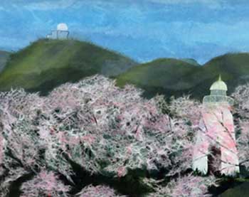 台場の桜
