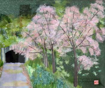 奥出雲の桜