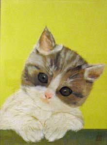 ねこ