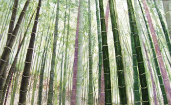 竹林