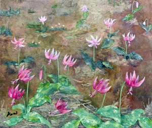 カタクリの花