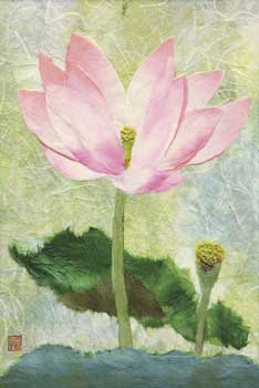 蓮の花