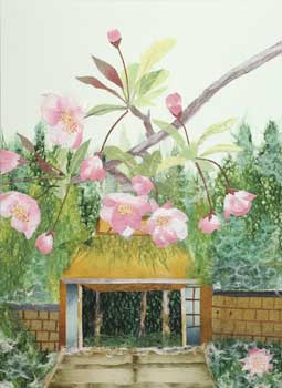 山桜