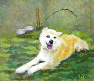 愛犬「ポポ」