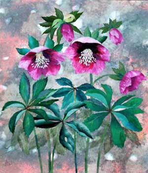 早春の花