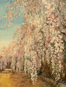しだれ桜