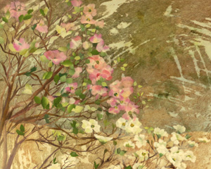 花みずき