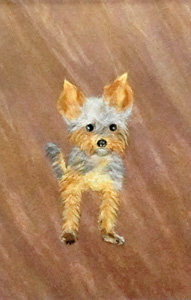 わが家の新入り