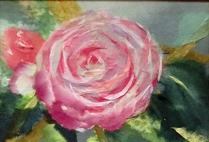 綾子舞（ツバキ）