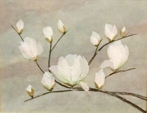 モクレンの花