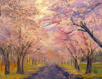 桜花の舞