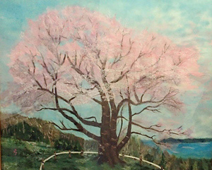 大木囲のエゾヒガン桜