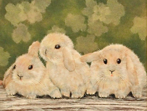 こっち向いて！