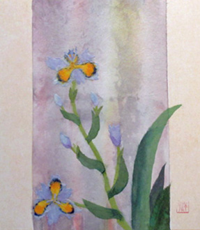 射干（シャガ）