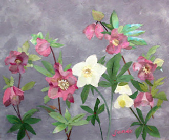 クリスマスローズ