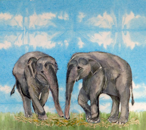 スリランカゾウ