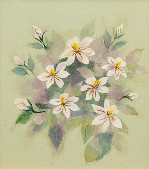 白き貴婦人（習作）