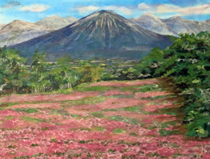 芝桜