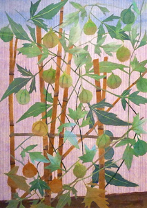 ふうせんかずら