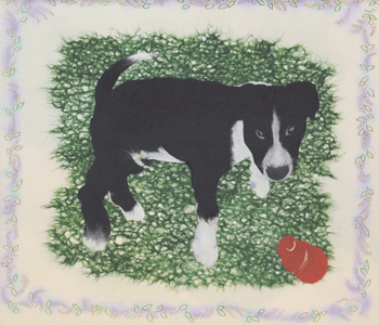 小犬の「パッツ」