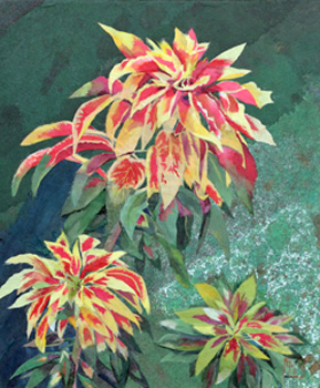 庭の花火