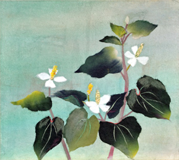 薬草