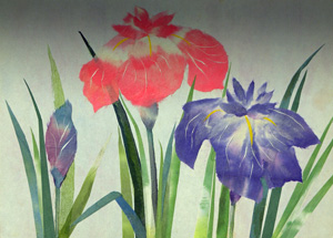 花菖蒲