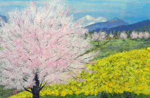 さくらの咲く頃