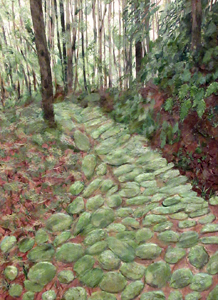 熊野古道（松本峠）