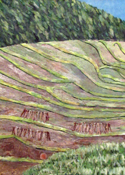 山と棚田