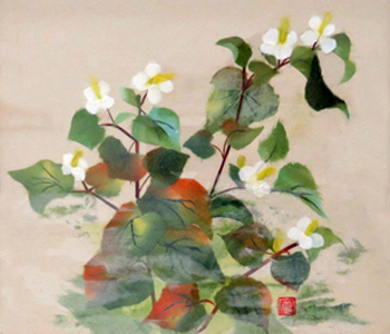 雨のころ（どくだみ）