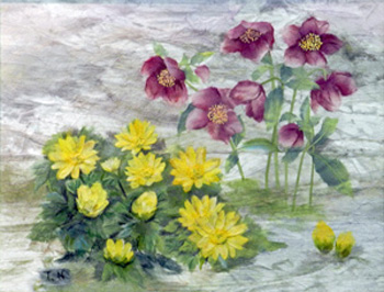 春の花