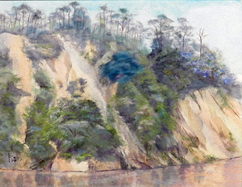 八向楯