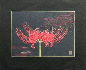 曼珠沙華