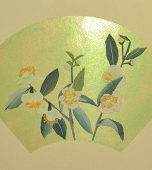 お茶の花（習作）